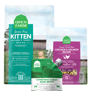 New Kitten Pack