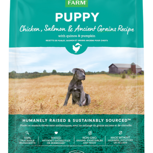 Chicken & Salmon Ancient Grains Puppy Kibble